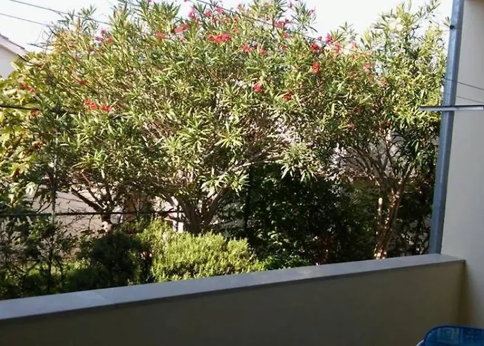 Appartement With A Parking Space Petrcane, Zadar - 12741